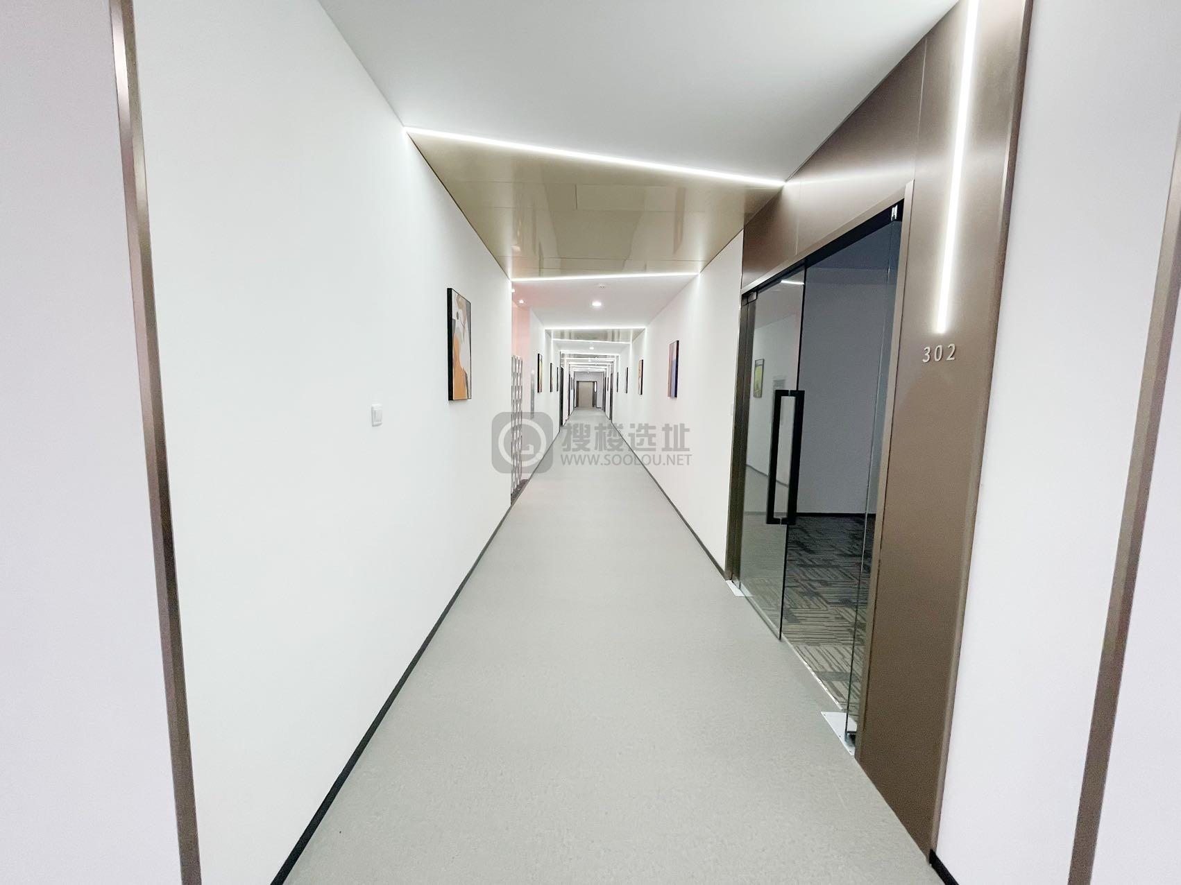 泽天能源面积241平