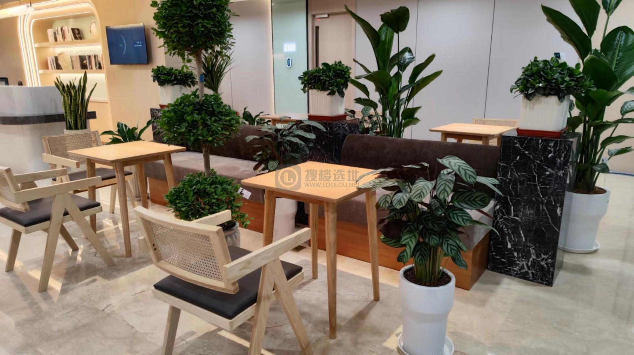 桑葚办公（河西万达广场）