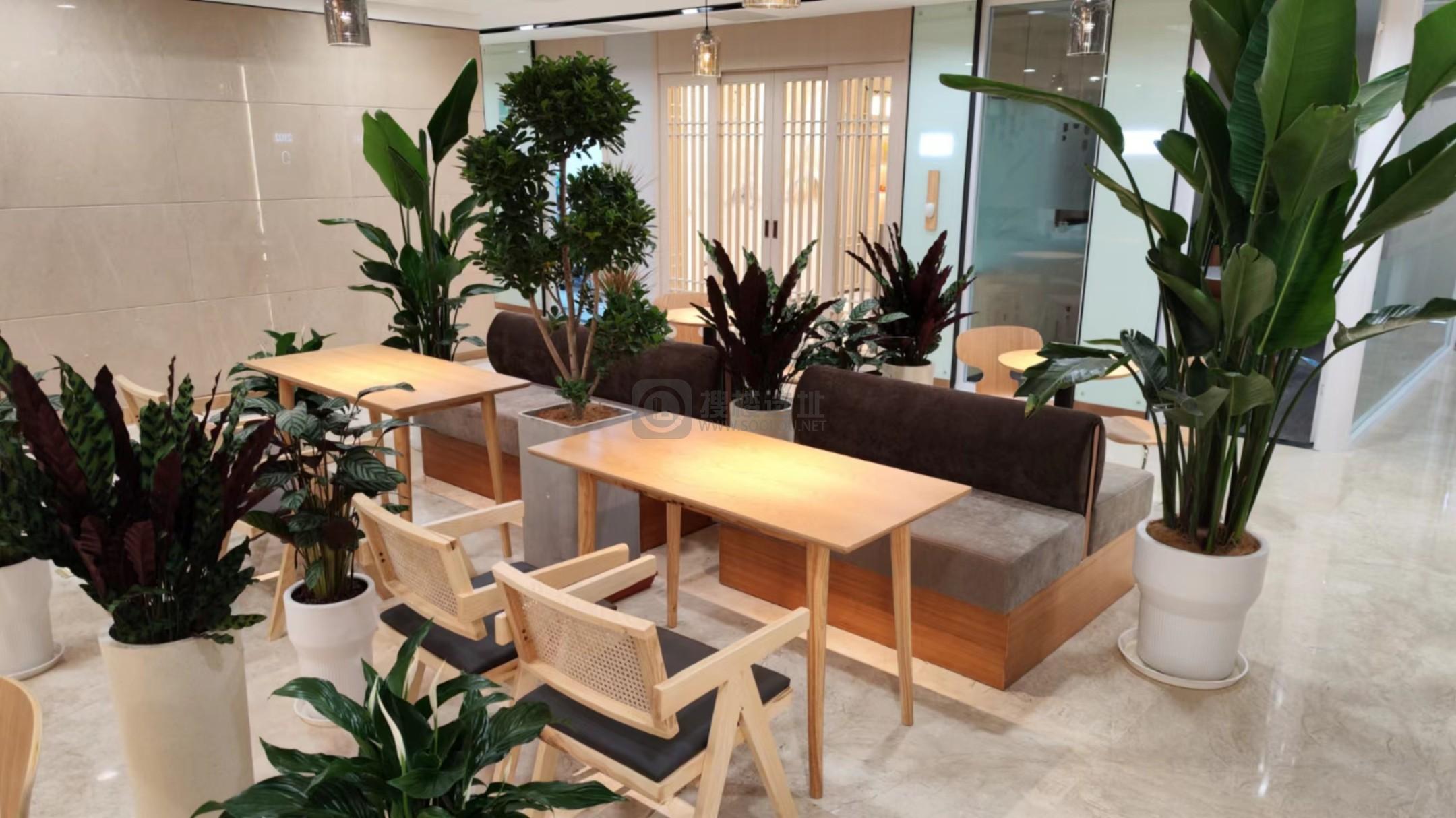 桑葚办公（河西万达广场）