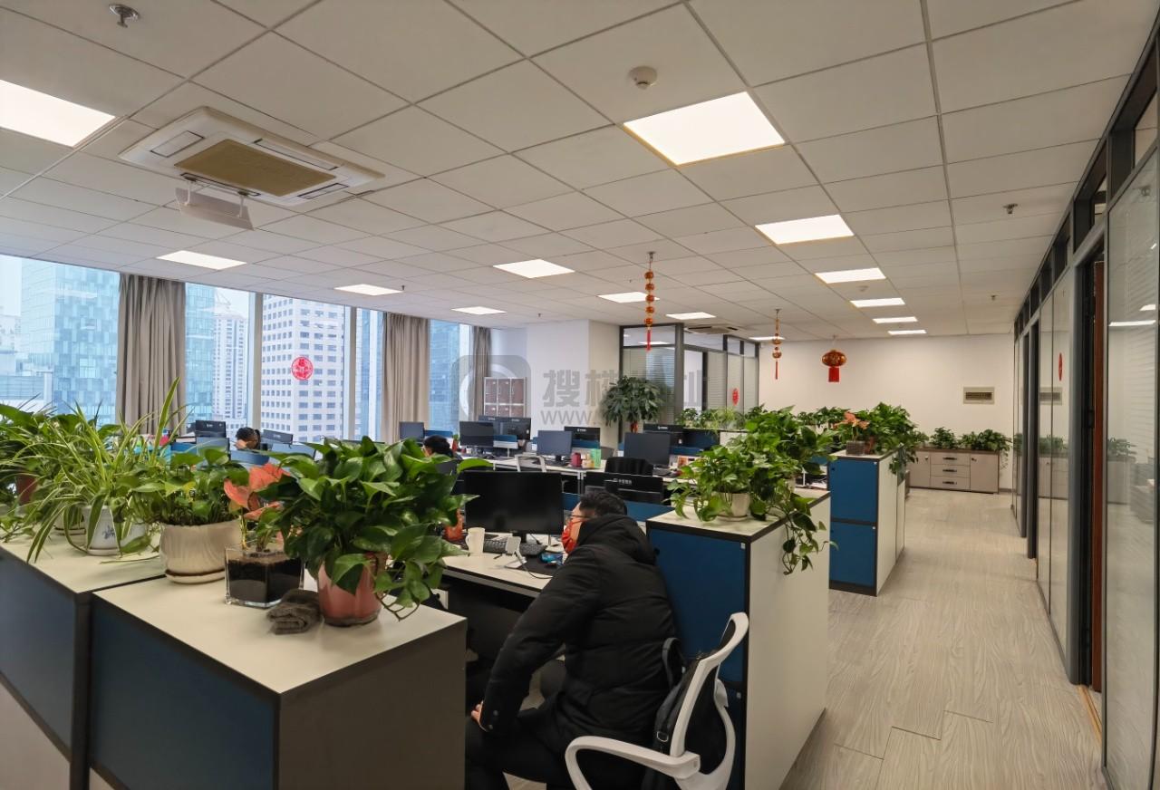 斯亚·财富中心面积233平