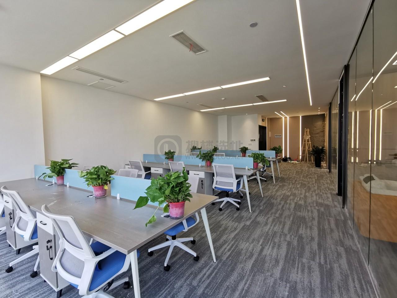 雨花客厅面积196平