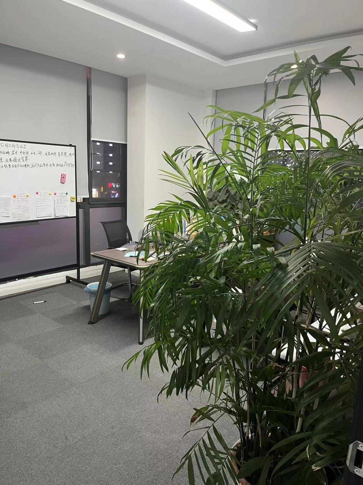 南岸·瑞智99文化创意产业园面积198平